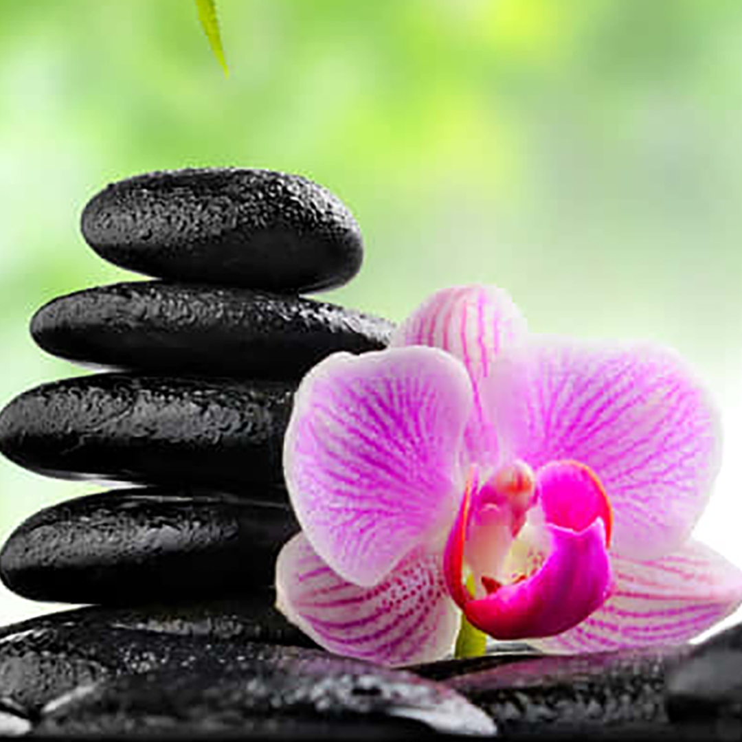 pink orchid with black stones