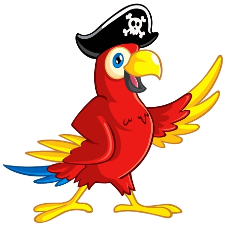 parrot with pirate hat